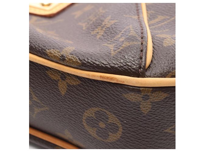 Borsa a Spalla Louis Vuitton Thames PM Marrone Monogramma - vista 8