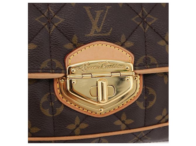 LOUIS VUITTON Monogram Etoile Clutch Borsa a Mano M41436 LV Auth SW2649SAM Monogramma - vista 13