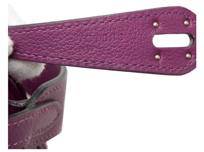 Hermès Borsa Hermes Lindy 26 in Anemone Purple Porpora - vista 6