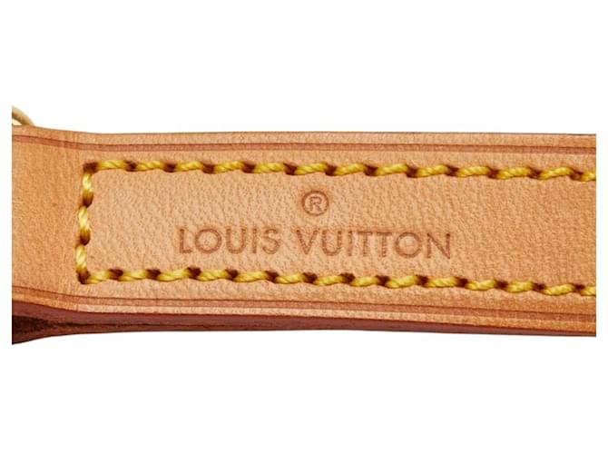 Tracolla Louis Vuitton Beige D'oro - vista 5