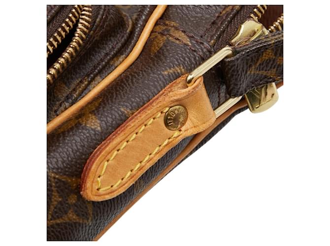Borsa a tracolla Louis Vuitton Monogram Amazon Marrone - vista 9