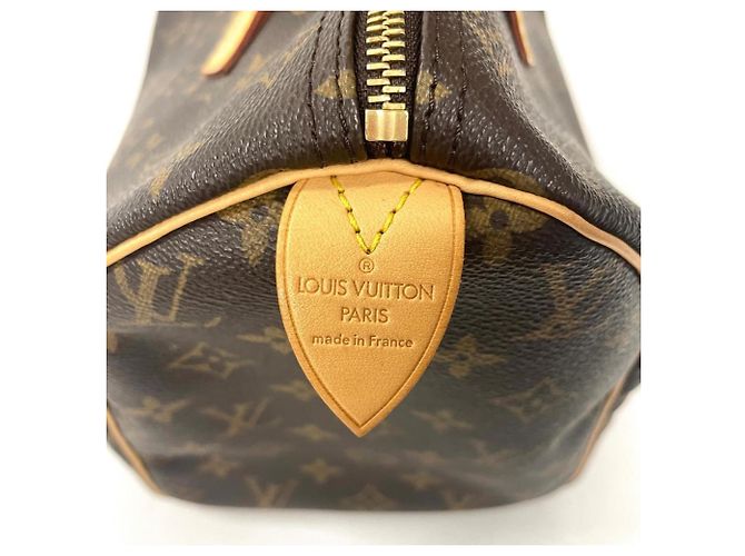 Borsa Louis Vuitton Speedy 30 Marrone Monogramma - vista 4