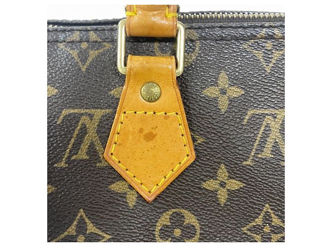 Borsa Louis Vuitton Speedy 25 Monogram Marrone Monogramma - vista 4