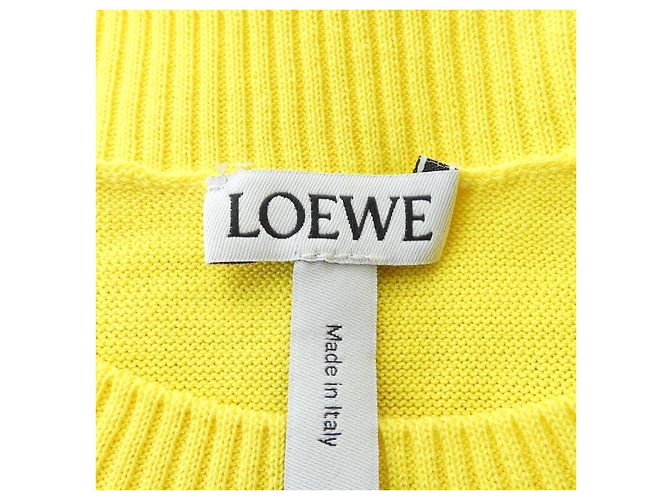 Maglieria in lana Loewe Marrone Giallo - vista 4