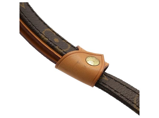 Correa para perro Louis Vuitton Baxter MM Monogram Castaño - vista 5