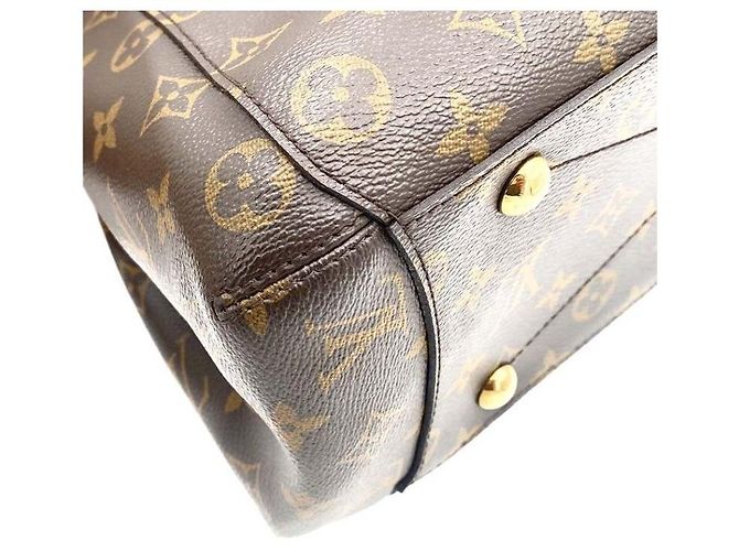 Louis Vuitton Monogram Montagne GM Multicolore - vista 6