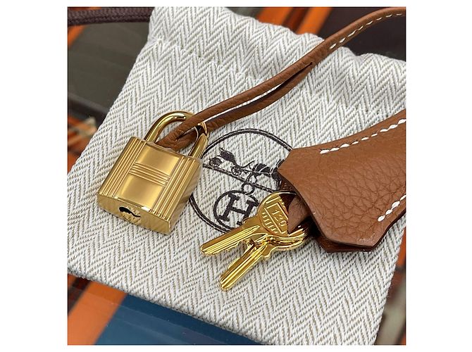 Hermès Birkin Togo Oro timbro Oro Multicolore - vista 10