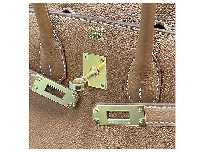 Hermès Birkin Togo Oro timbro Oro Multicolore - vista 8