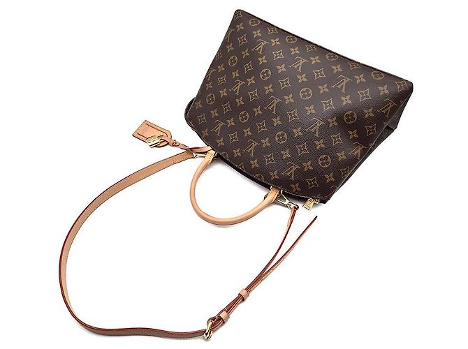 Louis Vuitton Monogram Grand Palais Marrone - vista 4