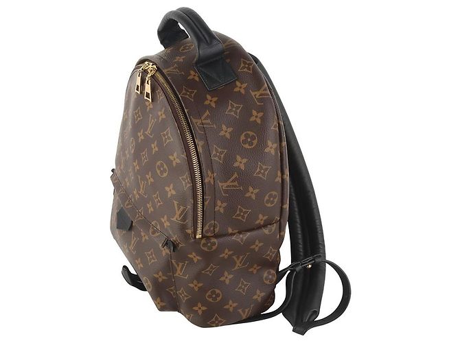 Louis Vuitton Zaino Monogram Palm Springs MM Multicolore - vista 2