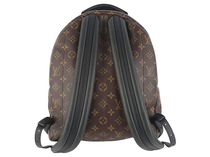 Louis Vuitton Zaino Monogram Palm Springs MM Multicolore - vista 3