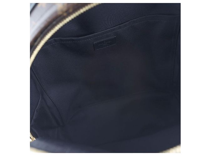 Louis Vuitton Zaino Monogram Palm Springs MM Multicolore - vista 7