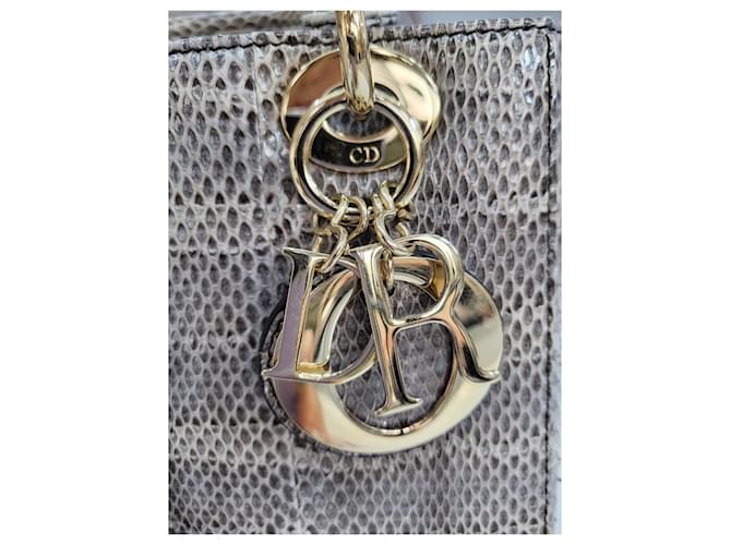 Dior Piccola borsa tote in pitone Marrone - vista 16