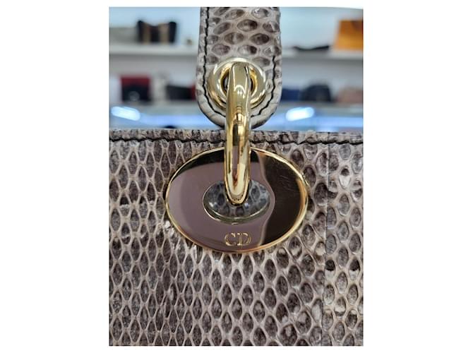 Dior Piccola borsa tote in pitone Marrone - vista 17