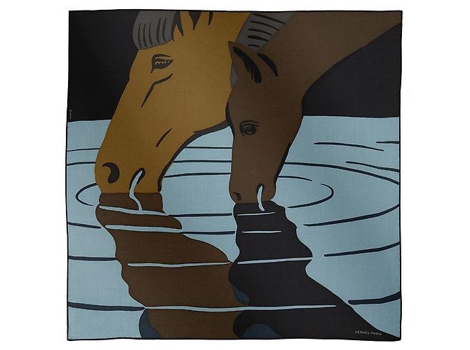 Hermès Waterfoal Schal Mehrfarben - Ansicht 4