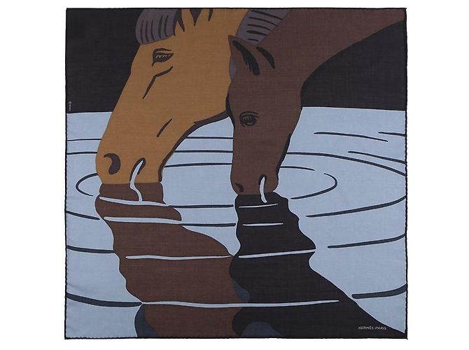 Hermès Waterfoal Schal Mehrfarben - Ansicht 7