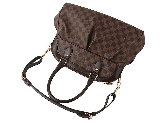 Louis Vuitton Borsa a Spalla Damier Ebene Trevi PM Multicolore - vista 6