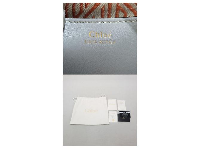 Chloé Borsa a tracolla Daria Mini Chain - vista 10
