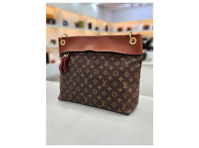 Louis Vuitton Borsa Hobo Monogram Tuileries Trimming Multicolore - vista 5