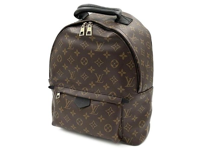 Louis Vuitton Monogram Palm Springs MM Multicolore - vista 2