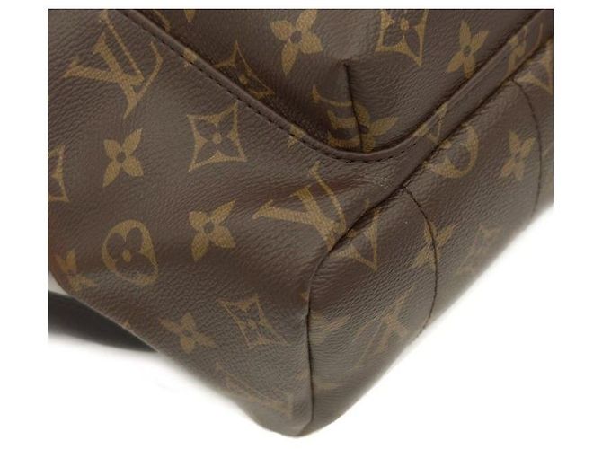 Louis Vuitton Monogram Palm Springs MM Multicolore - vista 5