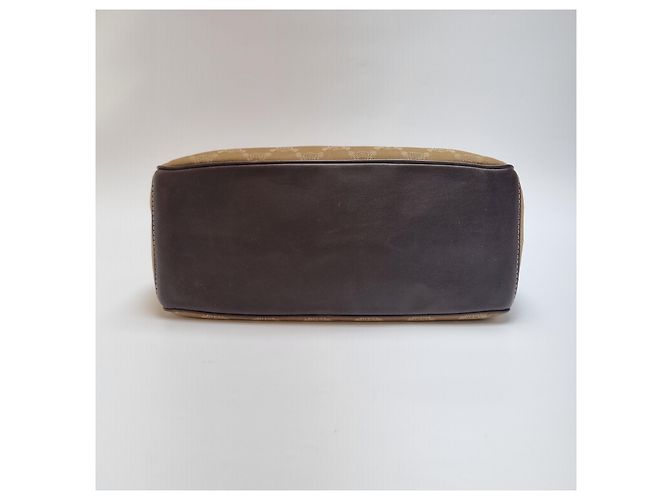 Céline Borsa Tote Triomphe Canvas Brown Blu - vista 16