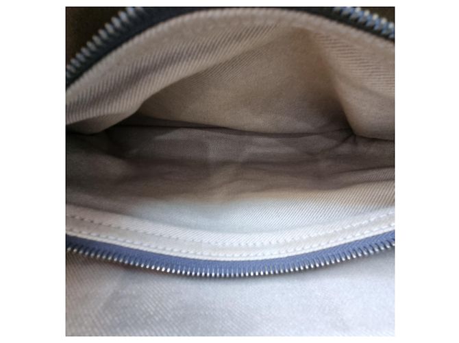 Céline Borsa Tote Triomphe Canvas Brown Blu - vista 18