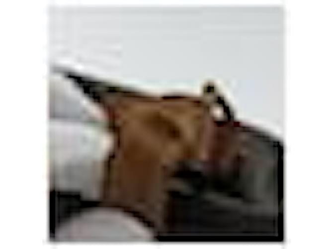 Loewe Cappello Camp in cotone Nero - vista 2