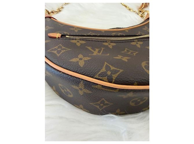 Louis Vuitton Bolso Hobo Monogram Loop Multicolor - vista 11