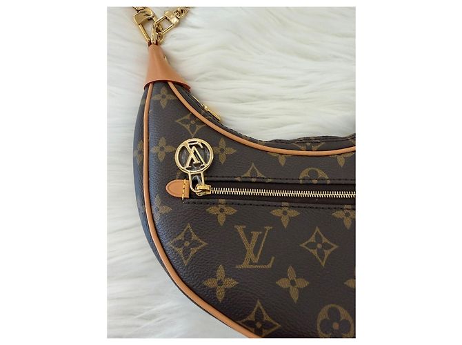 Louis Vuitton Bolso Hobo Monogram Loop Multicolor - vista 12