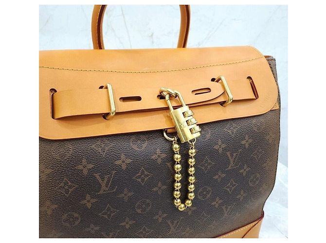 Louis Vuitton Nuova borsa a tracolla Pharrell Steamer Monogram Multicolore - vista 5