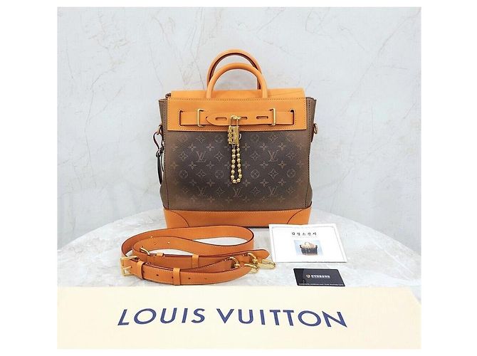 Louis Vuitton Nuova borsa a tracolla Pharrell Steamer Monogram Multicolore - vista 9
