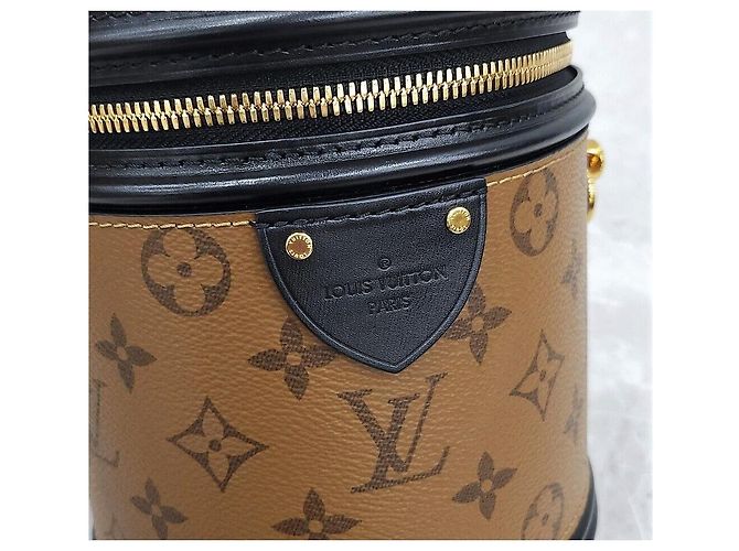 Louis Vuitton Tote Cannes in tela Monogram Reverse Multicolore - vista 5