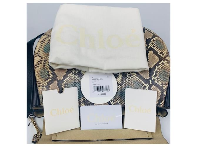 Chloé Bolsa de ombro Python Drew Gold (Médio) Multicor - vista 6