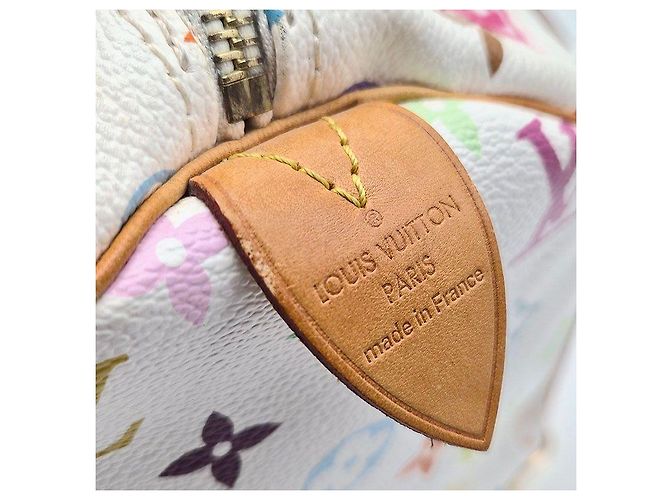 Louis Vuitton Multi Speedy Multicor - vista 8
