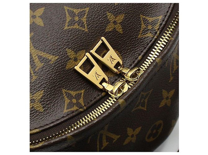 Louis Vuitton Zaino Monogram Palm Springs MM Marrone - vista 9