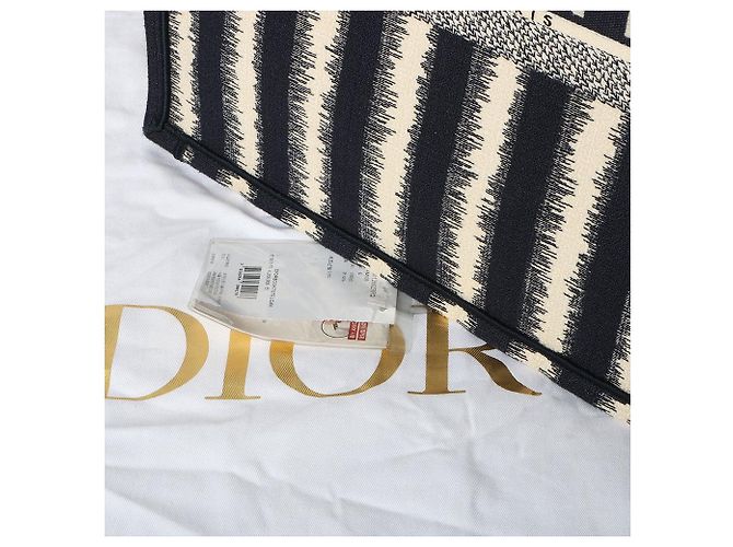 Dior Borsa Book Tote a righe Grande Blu - vista 10