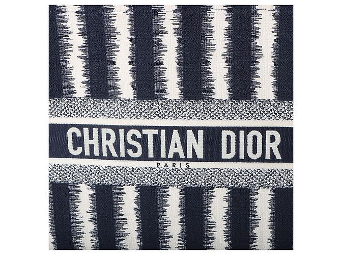 Dior Borsa Book Tote a righe Grande Blu - vista 5