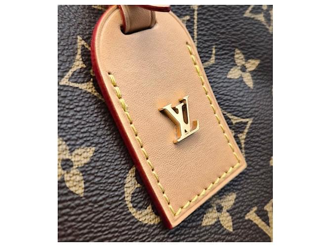 Louis Vuitton Monogram Carryall PM Marrone - vista 8