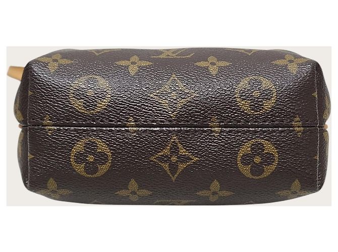 Louis Vuitton Borsa a tracolla Monogram Nano Turenne Marrone - vista 6