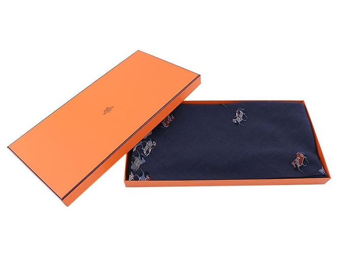 Hermès Cachemir e seda lenço Preto - vista 2