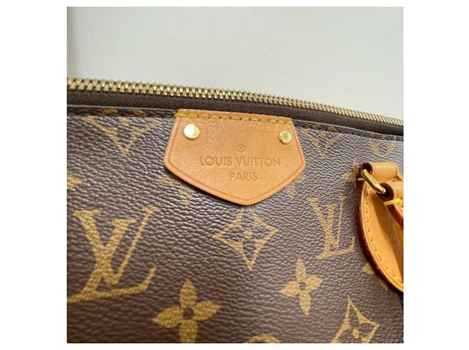 Louis Vuitton Borsa a tracolla Tuileries MM Multicolore - vista 3