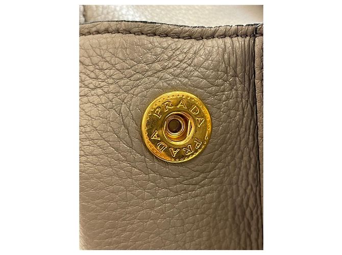 Prada Borsa Tote Vitello Daino Grigio chiaro Marrone - vista 20