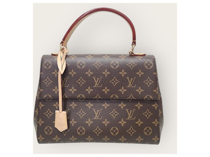Louis Vuitton Borsa a tracolla Cluny in Monogram Canvas Glacier Blue MM Marrone - vista 2