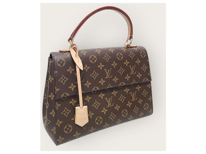Louis Vuitton Borsa a tracolla Cluny in Monogram Canvas Glacier Blue MM Marrone - vista 4