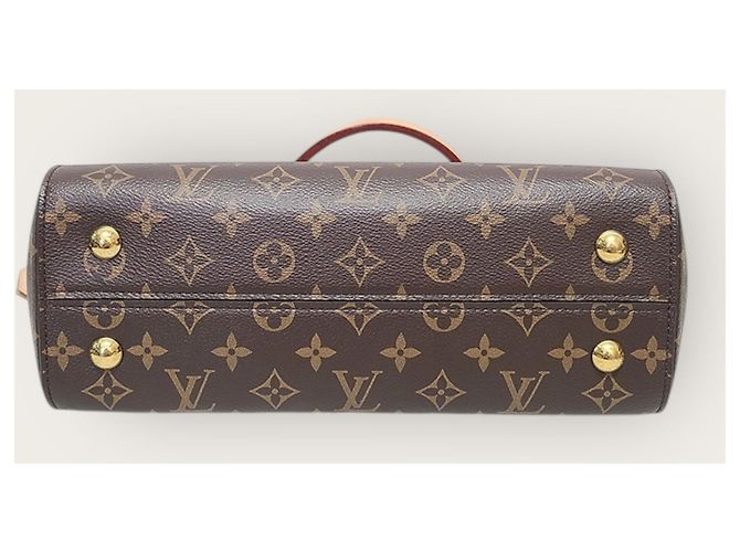 Louis Vuitton Borsa a tracolla Cluny in Monogram Canvas Glacier Blue MM Marrone - vista 8