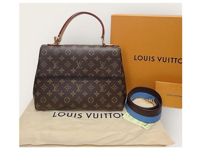 Louis Vuitton Borsa a tracolla Cluny in Monogram Canvas Glacier Blue MM Marrone - vista 9