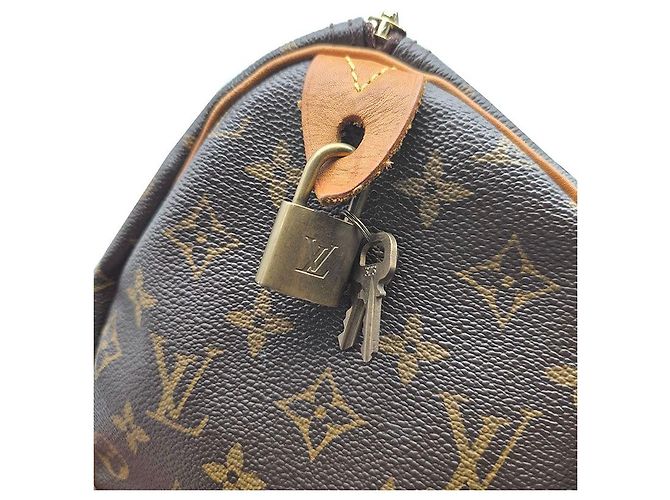 Louis Vuitton Speedy Monogram Marrom - vista 8