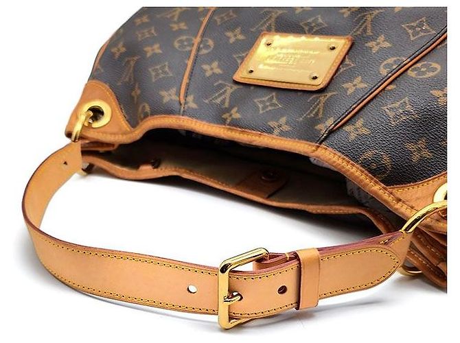 Louis Vuitton Monogram Galliera PM Mehrfarben - Ansicht 5