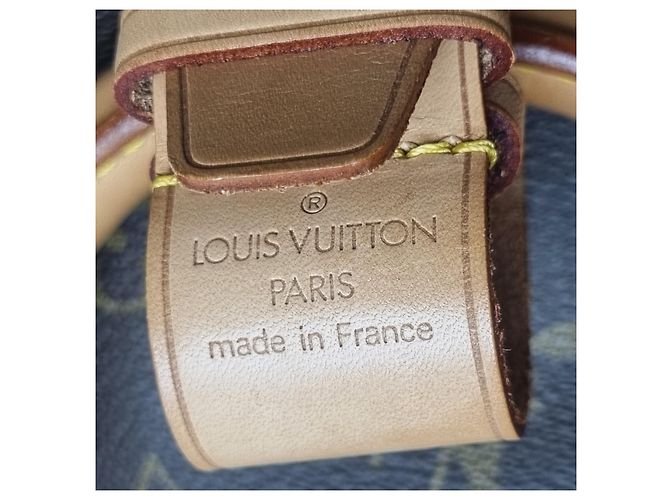 Louis Vuitton Borsa Boston Monogram Allure Borsa da Golf Borsa da Viaggio Multicolore - vista 19